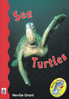 Book cover for Sea Turtles