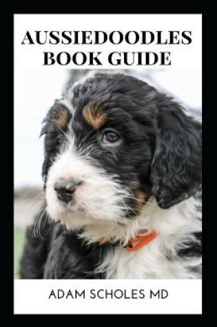 Cover of Aussiedoodle Book Guide