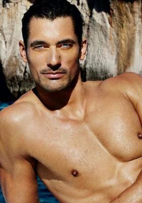 Book cover for David Gandy Diary