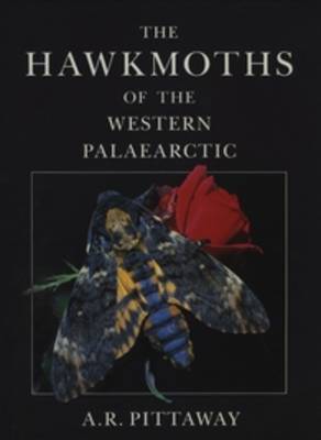 Book cover for The Hawkmoths of the Western Palaearctic