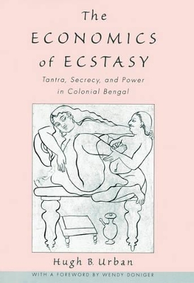 Book cover for The Economics of Ecstasy