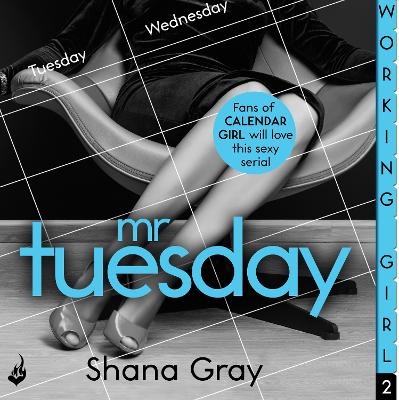 Book cover for Mr Tuesday (A sexy serial, perfect for fans of Calendar Girl)