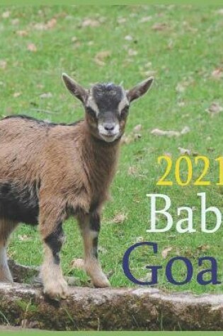 Cover of Baby Goats 2021