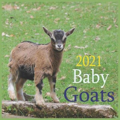 Book cover for Baby Goats 2021
