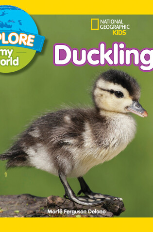 Cover of Explore My World: Ducklings
