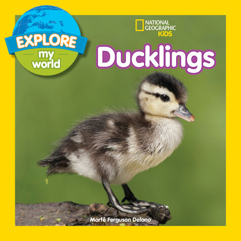 Cover of Explore My World: Ducklings