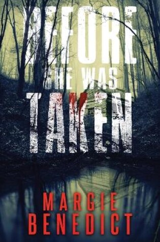 Cover of Before She Was Taken