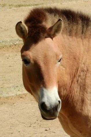 Cover of So Cool Przewalski Horse Equine Journal