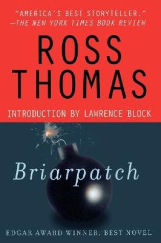 Cover of Briarpatch