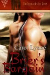 Book cover for Brier's Bargain