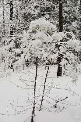 Cover of Winter Picture Journal After Snowstorm