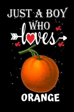 Cover of Just a Boy Who Loves Orange