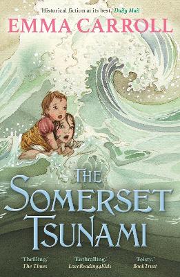 Book cover for The Somerset Tsunami