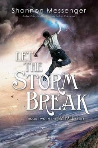 Cover of Let the Storm Break
