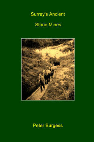 Cover of Surrey's Ancient Stone Mines