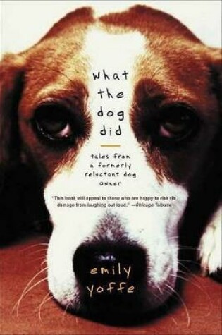 Cover of What the Dog Did