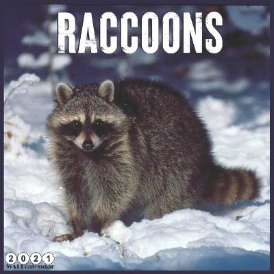 Book cover for Raccoons 2021 Wall Calendar