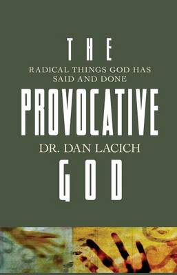 Book cover for The Provocative God