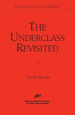 Book cover for The Underclass Revisited