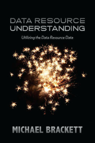 Cover of Data Resource Understanding