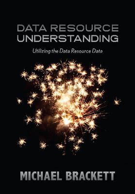 Book cover for Data Resource Understanding