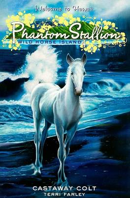 Cover of Castaway Colt