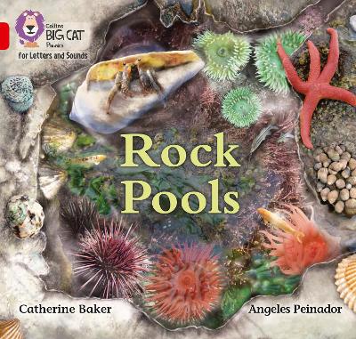 Cover of Rock Pools