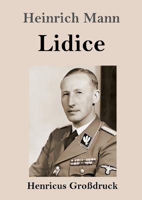 Book cover for Lidice (Großdruck)