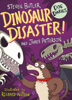 Book cover for Dinosaur Disaster!