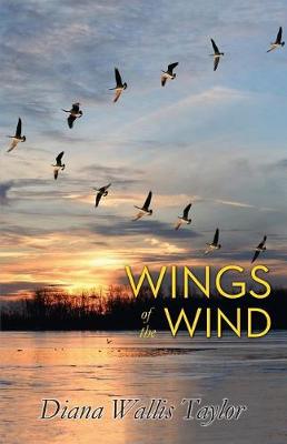 Book cover for Wings of the Wind