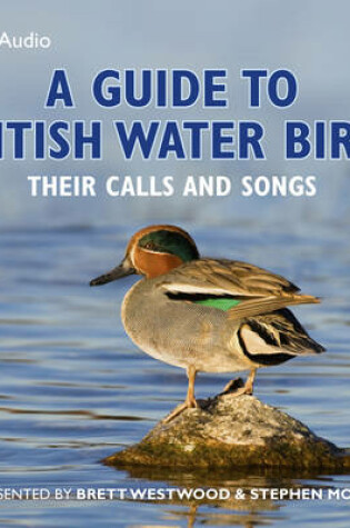 Cover of A Guide to British Water Birds