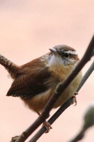 Cover of House Wren (Troglodytes Aedon) Bird Journal