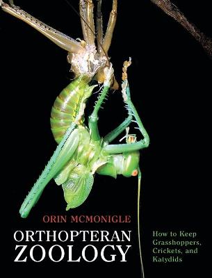 Book cover for Orthopteran Zoology