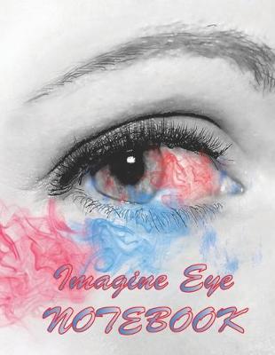 Book cover for Imagine Eye NOTEBOOK