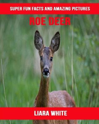 Book cover for Roe Deer