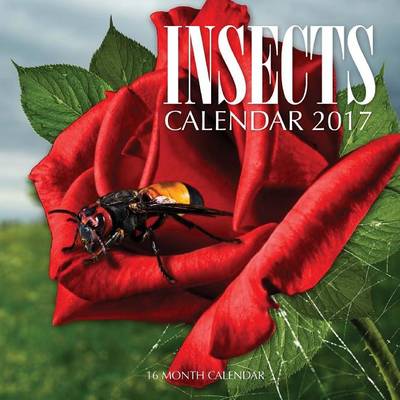 Book cover for Insects Calendar 2017