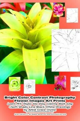 Cover of Bright Color Contrast Photography Flower Images Art Prints Learn Art Styles the Easy Coloring Book Way +Soft Shady Line Black White Drawings by Artist Grace Divine