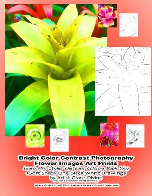 Book cover for Bright Color Contrast Photography Flower Images Art Prints Learn Art Styles the Easy Coloring Book Way +Soft Shady Line Black White Drawings by Artist Grace Divine