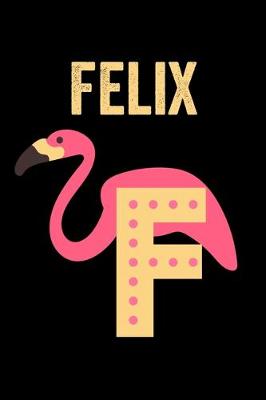 Book cover for Felix