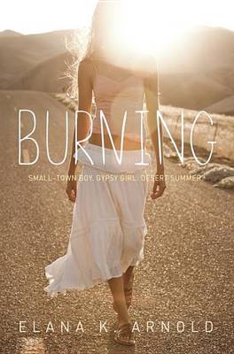 Book cover for Burning