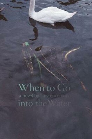 Cover of When to Go into the Water