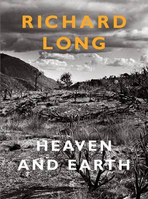 Book cover for Richard Long