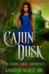 Book cover for Cajun Dusk