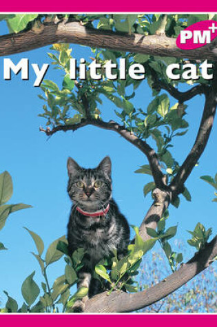 Cover of My little cat