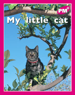 Book cover for My little cat