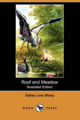 Cover of Roof and Meadow(Dodo Press)