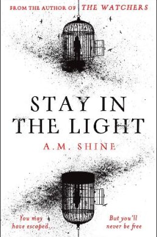 Cover of Stay in the Light