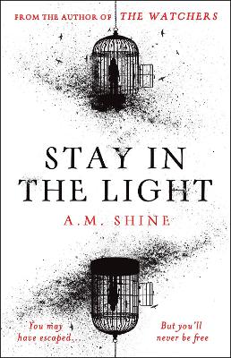 Book cover for Stay in the Light