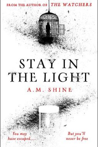 Cover of Stay in the Light