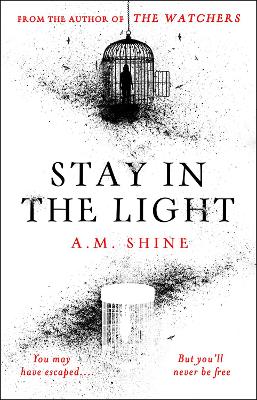 Book cover for Stay in the Light